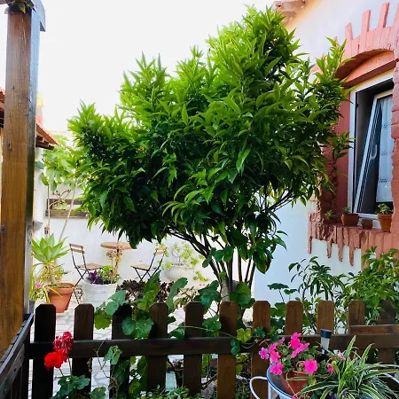 Country house Refugio Do Esquilo